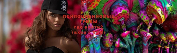 прущая мука Верея