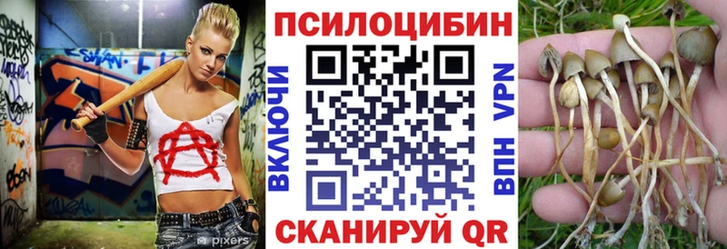 Псилоцибиновые грибы мухоморы  hydra ССЫЛКА  Павловская  купить  