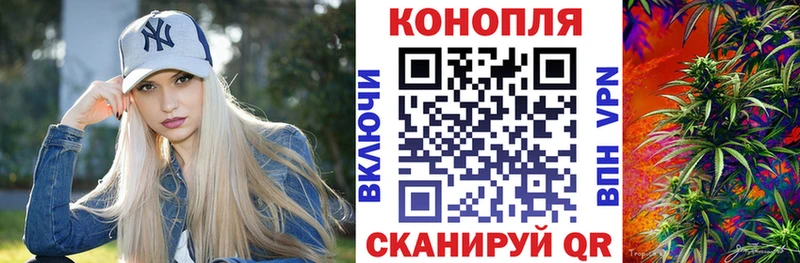 Бошки Шишки ГИДРОПОН  Павловская 